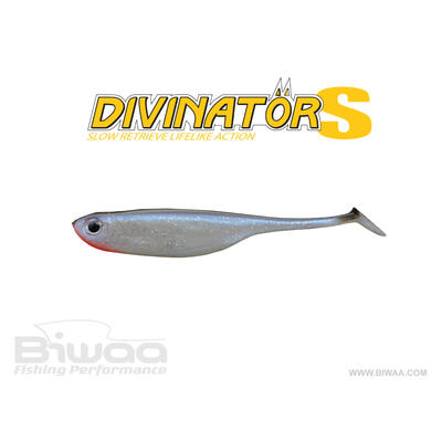 Shad Biwaa Divinator S 13cm, culoare Roach