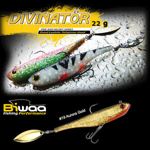 Shad Biwaa Divinator Junior 14cm/22g, culoare Aurora Gold